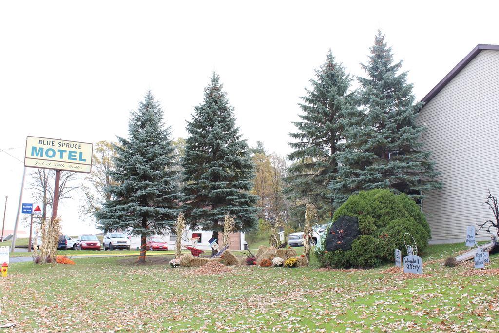 Blue Spruce Motel Massena Exterior foto