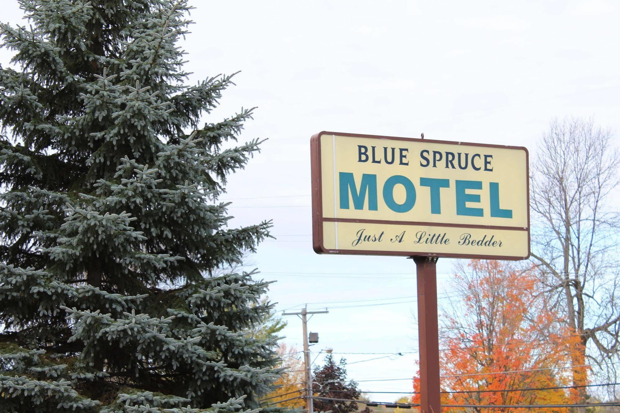 Blue Spruce Motel Massena Exterior foto